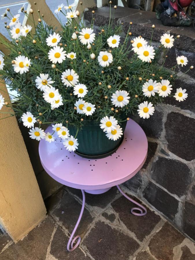 La S'Volta Vanzago Bed And Breakfast Εξωτερικό φωτογραφία